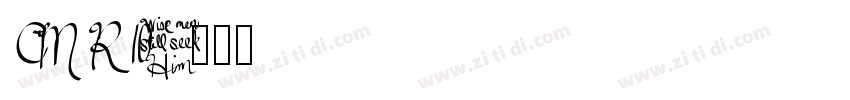 CM R10字体转换
